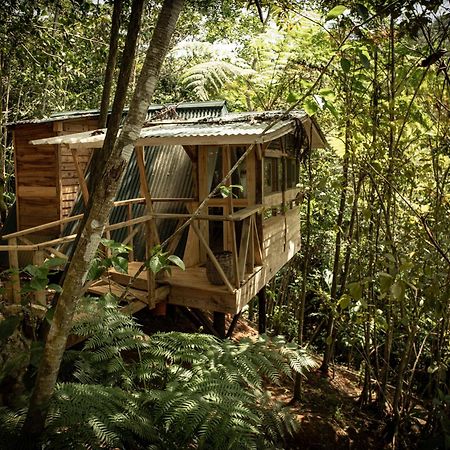 סן פרנסיסקו דה מקוריס Cunae Ecolodge מראה חיצוני תמונה