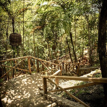 סן פרנסיסקו דה מקוריס Cunae Ecolodge מראה חיצוני תמונה